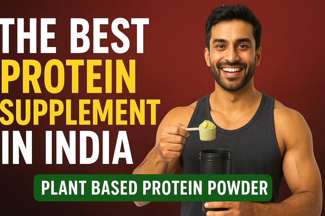 plant based protein powder