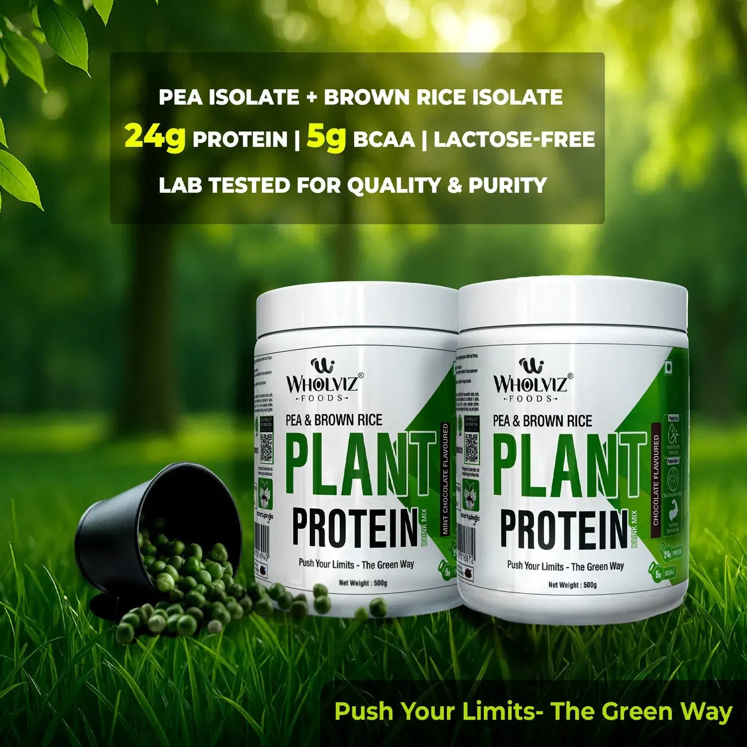 PLANT PROTEIN - Wholviz Foods