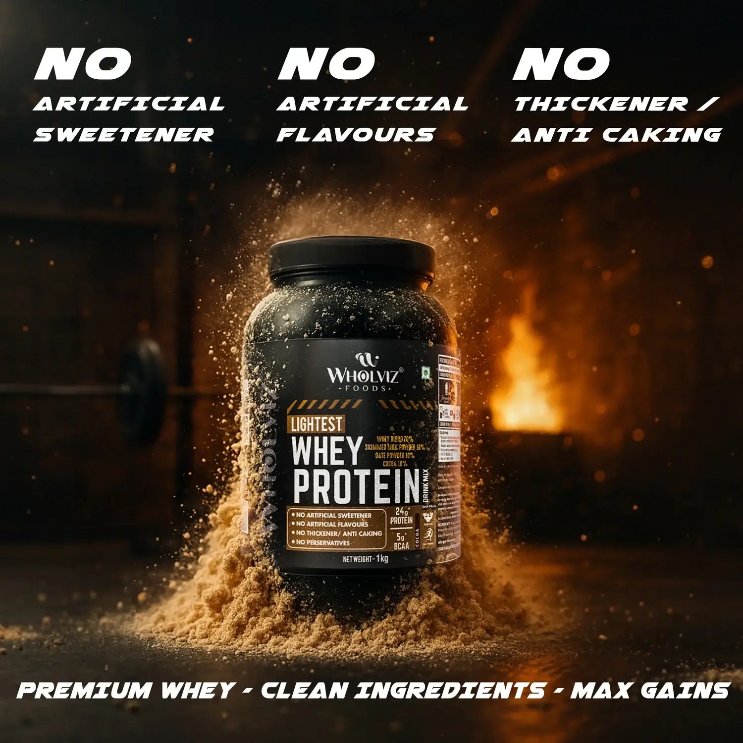 WHEY PROTEIN - Wholviz Foods