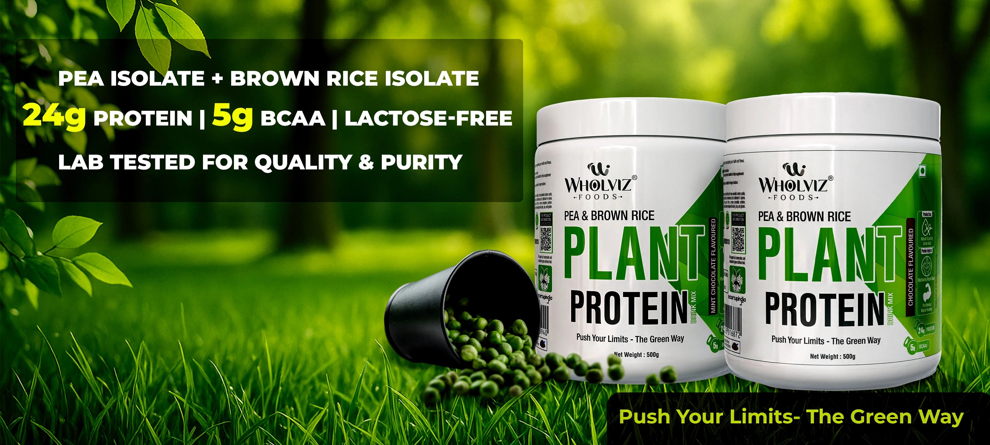  Best whey protein supplements online