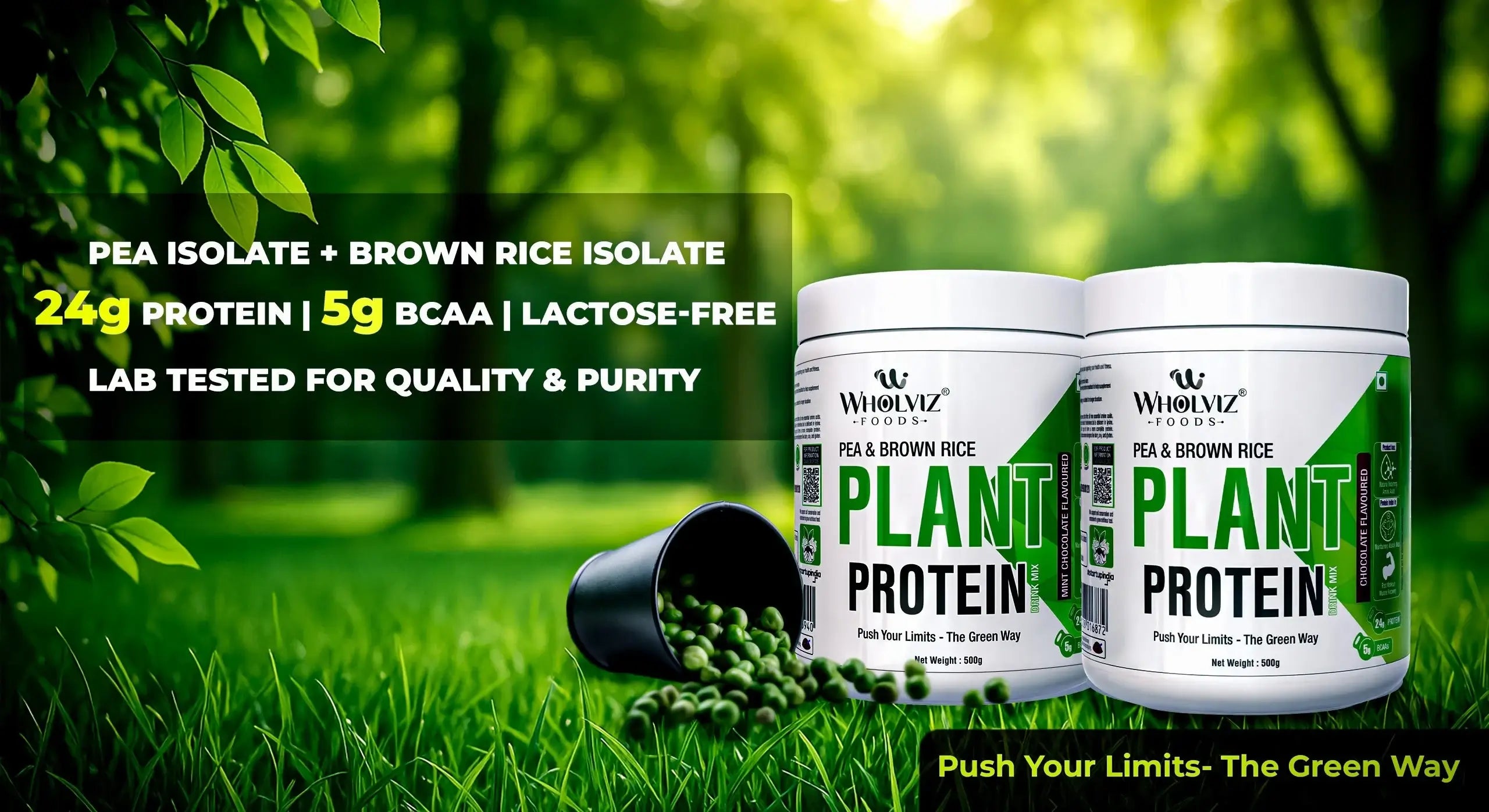 Plant based protein powder